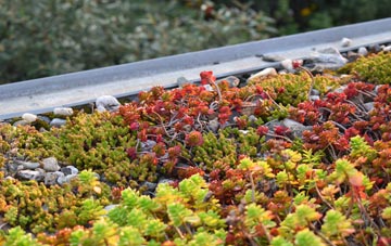 the cost of Clachan Of Glendaruel green roof installation