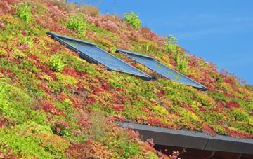 Clachan Of Glendaruel living roof systems